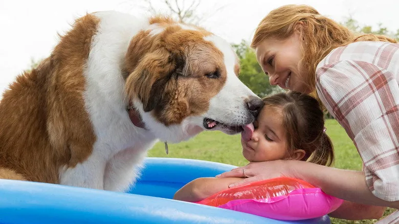 Bir Köpeğin Serüveni sahne 2