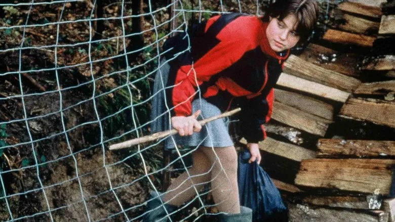 Rosetta sahne 6